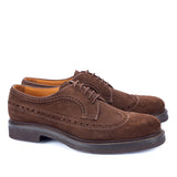 1181 Ettore Derby Brogue <br> Suede Brown