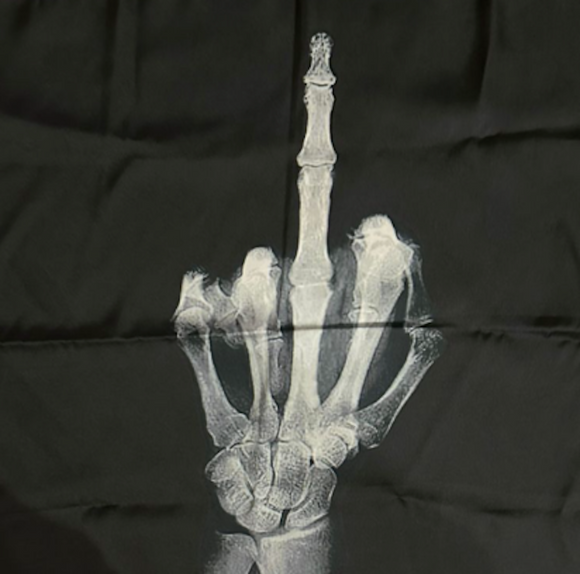 Silk Scarf X-Ray Middle Finger - Alê Jordão